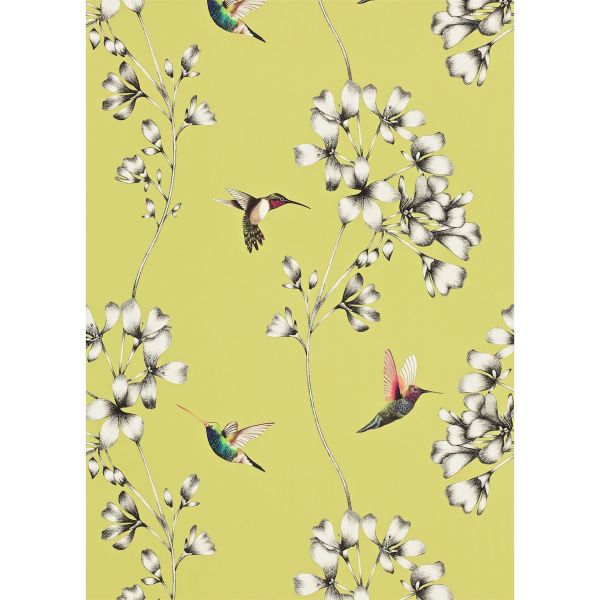 Amazilia Floral 111061 Wallpaper by Harlequin in Gooseberry Green