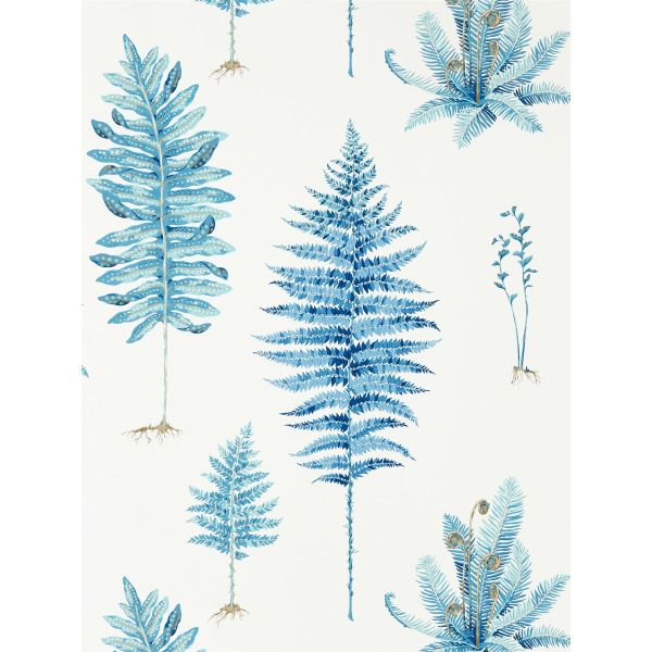 Fernery Wallpaper 216635 by Sanderson in China Blue