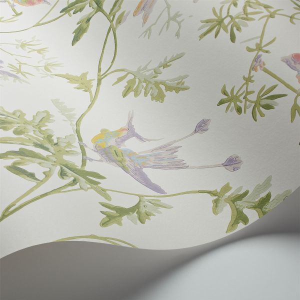 Hummingbirds Wallpaper 100 14067 by Cole & Son in Soft Multi