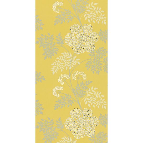Cowparsley Floral Wallpaper 105 by Sanderson in Chinese Yellow