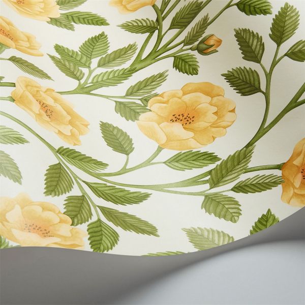 Hampton Roses Wallpaper 7015 by Cole & Son in Ochre Yellow