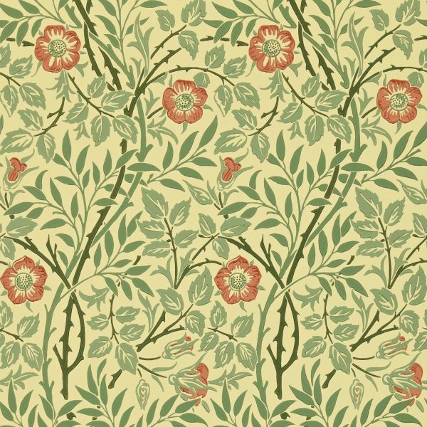 Sweet Briar Wallpaper 210478 by Morris & Co in Green Blue Rose