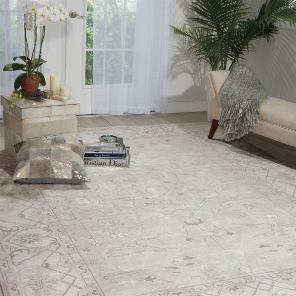Aldora ALD01 Traditional Bordered Rugs in Silver Grey by Nourison
