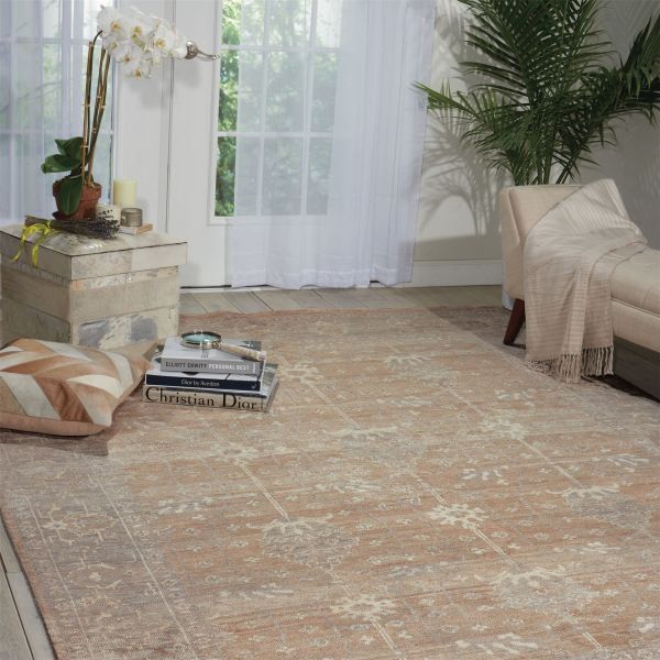 Aldora ALD07 Traditional Bordered Rugs in Pewter by Nourison