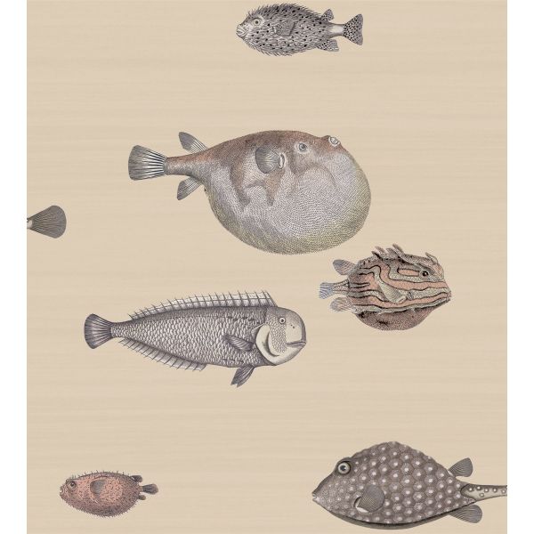 Acquario Wallpaper 16033 by Cole & Son in Taupe Brown