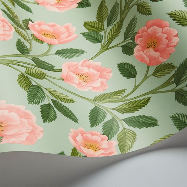 Hampton Roses Wallpaper 7014 by Cole & Son in Rose Pink