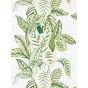 Calathea Wallpaper 216630 by Sanderson in Botanical Green