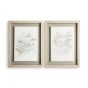 Elderwood Set of 2 Framed Canvases 115032 by Laura Ashley in Natural