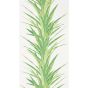 Yucca Wallpaper 216649 by Sanderson in Botanical Green