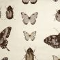 Papilio Wallpaper W0094 01 by Clarke and Clarke in Charcoal Gold
