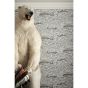 Melville Wallpaper 1004 by Cole & Son in Soot Snow