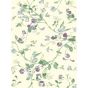 Sweet Pea Wallpaper 100 6030 by Cole & Son in Violet Purple