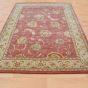 Nourison 2000 Rugs 2215 ROS in Rose PInk