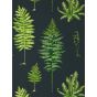 Fernery Wallpaper 216634 by Sanderson in Botanical Green Charcoal