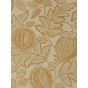 Cantaloupe Wallpaper 216763 by Sanderson in Clay Brown