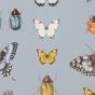 Papilio Wallpaper W0094 03 by Clarke and Clarke in Mineral Gilver