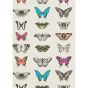 Papilio Wallpaper 111079 by Harlequin in Flamingo Papaya Orange