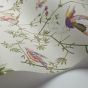 Hummingbirds Wallpaper 100 14070 by Cole & Son in Green Multi
