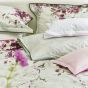 Shinsa Duvet Cover and Pillowcase in Blossom Pink By Designers Guild Bedding