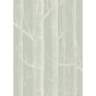 Woods Wallpaper 3013 by Cole & Son in Old Olive