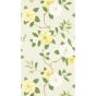 Christabel Wallpaper 213377 by Sanderson in Yellow Ivory White