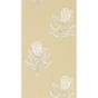 Protea Flower Wallpaper 216331 by Sanderson in Sepia Champagne