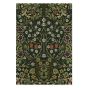 Blackthorn Indoor Outdoor Rugs 428507 by Morris & Co in Thump