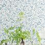 Maidenhair Wallpaper 6019 by Cole & Son in China Blue