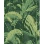 Palm Jungle Wallpaper 1003 by Cole & Son in Forest Green