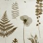 Herbarium Wallpaper W0091 02 by Clarke and Clarke in Charcoal Gold