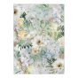 Woodlands Botanical Flower Print Rugs 53507 by Ted Baker in Multi
