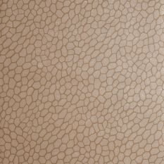 Playa Wallpaper W0058 01 by Clarke and Clarke in Antique Brown