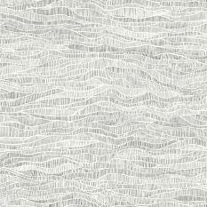 Meadow Wallpaper 13039 by Cole & Son in Soot Grey