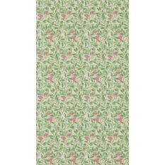 Arbutus Wallpaper 214720 by Morris & Co in Olive Pink