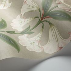 Angels Trumpet Wallpaper 117 3007 by Cole & Son in Stone Beige