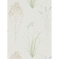 Farne Grasses Wallpaper 216486 by Sanderson in Cream Sage Green