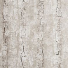 Tree Bark Wallpaper W0062 02 by Clarke and Clarke in Birch