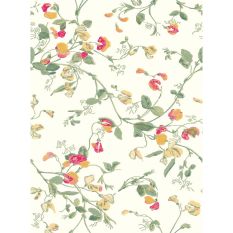 Sweet Pea Wallpaper 100 6027 by Cole & Son in Pink Yellow