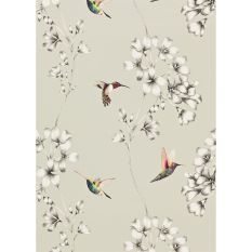 Amazilia Floral 111062 Wallpaper by Harlequin in Silver Grey