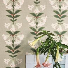 Angels Trumpet Wallpaper 117 3007 by Cole & Son in Stone Beige