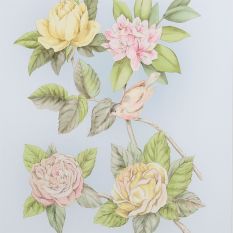 Roisin Floral Framed Print 115771 by Laura Ashley in Seaspray White