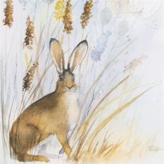 Country Hare Framed Print 115034 by Laura Ashley in Natural
