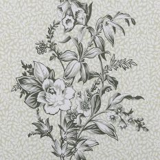 Picardie Framed Floral Print 115769 by Laura Ashley in Sage Green