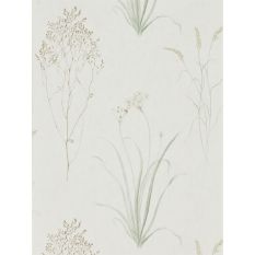 Farne Grasses Wallpaper 216488 by Sanderson in Willow Pebble Beige