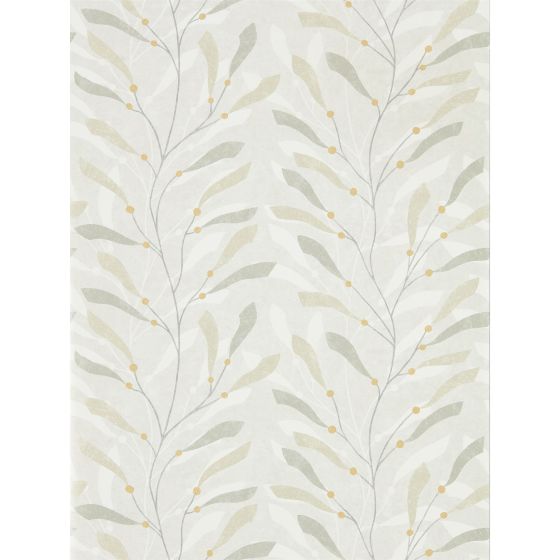 Sea Kelp Wallpaper 216569 by Sanderson in Driftwood Slate
