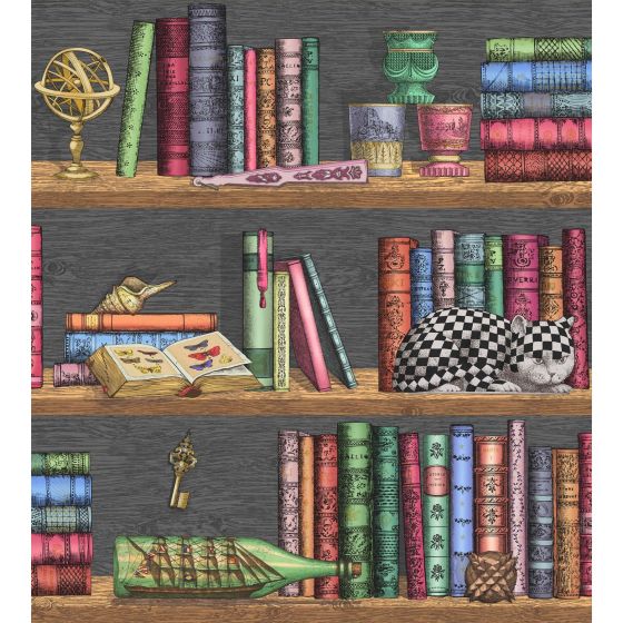 Libreria Wallpaper 13025 by Cole & Son in Rich Multi