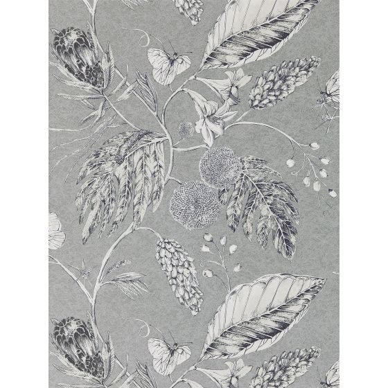 Amborella Wallpaper 111223 by Harlequin in Steel Grey