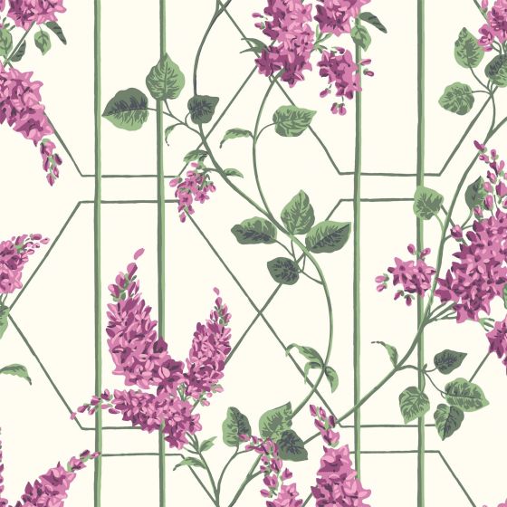 Wisteria Wallpaper 5013 by Cole & Son in Magenta Pink Leaf Green