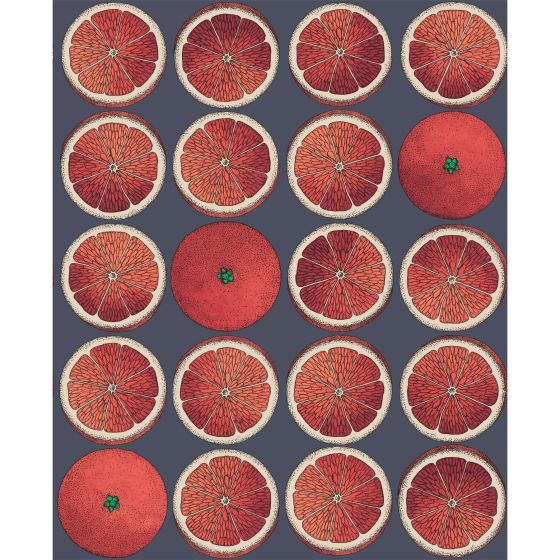 Arance Wallpaper 24046 by Cole & Son in Blood Orange Ink Blue