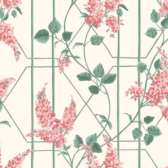Wisteria Wallpaper 5012 by Cole & Son in Coral Orange Sage Green